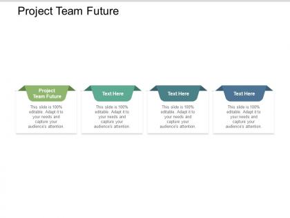Project team future ppt powerpoint presentation infographics graphics tutorials cpb