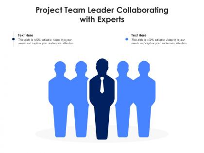 Project team leader collaborating with experts infographic template
