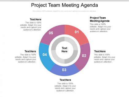 Project team meeting agenda ppt powerpoint presentation infographics professional cpb