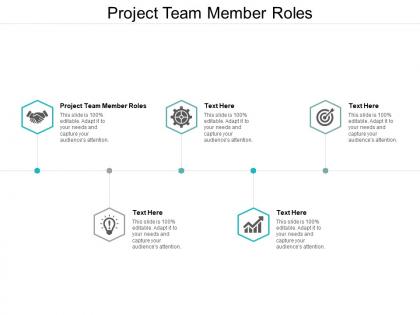 Project team member roles ppt powerpoint presentation infographic template example file cpb