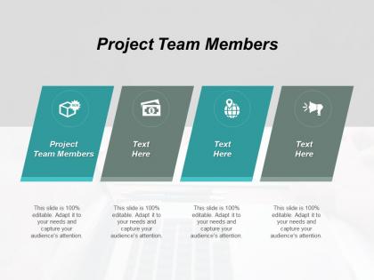 Project team members ppt powerpoint presentation file topics cpb