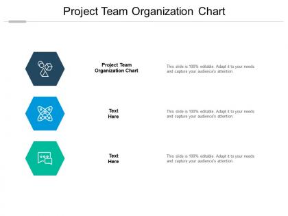 Project team organization chart ppt powerpoint presentation inspiration slide cpb