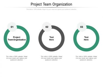 Project team organization ppt powerpoint presentation icon slide cpb