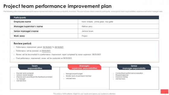 Project Team Performance Improvement Plan
