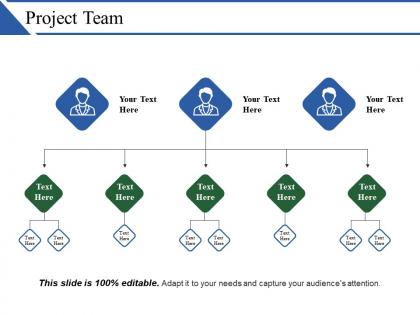 Project team powerpoint show