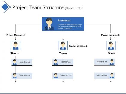 Project team structure example of ppt presentation