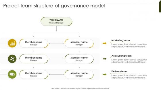 Project Team Structure Of Implementing Project Governance Framework For Quality PM SS