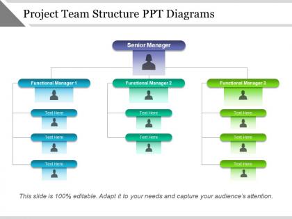 Project team structure ppt diagrams