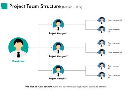 Project Team Structure - SlideTeam