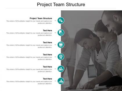 Project team structure ppt powerpoint presentation ideas backgrounds cpb