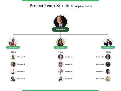 Project team structure presentation visual aids