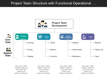 Project team structure with functional operational technical and system administrator