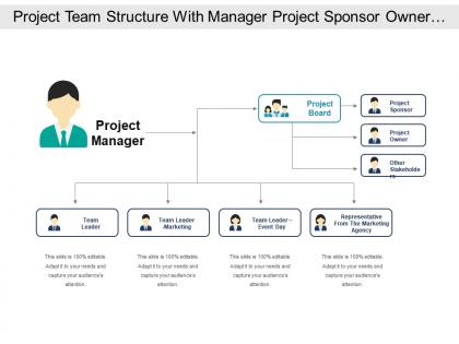 Project team structure with manager project sponsor owner stakeholders and team leaders