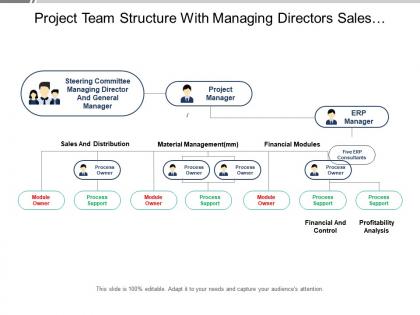 Project team structure with managing directors sales distribution and material management