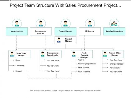 Project team structure with sales procurement project and i.t director