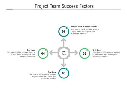 Project team success factors ppt powerpoint presentation professional examples cpb