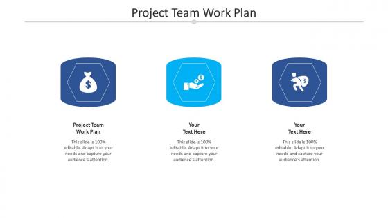 Project team work plan ppt powerpoint presentation gallery skills cpb