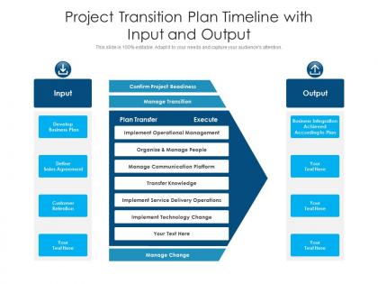 Project transition plan timeline with input and output