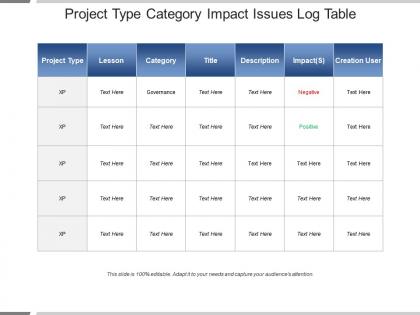 Project type category impact issues log table