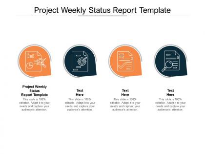 Project weekly status report template ppt powerpoint presentation examples cpb