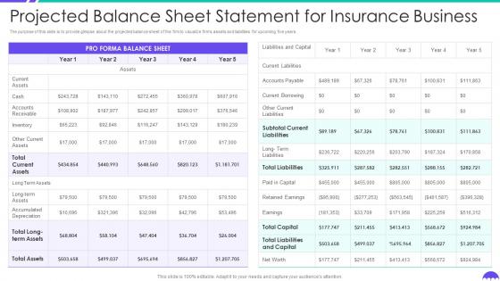 Projected Balance Sheet Statement For Insurance Business Building Insurance Agency Business Plan
