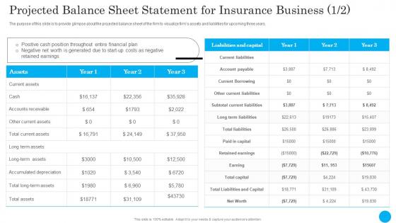 Projected Balance Sheet Statement Insurance Agency Financial Plan
