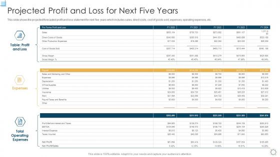 Projected profit and loss for next five years strategic planning for startup