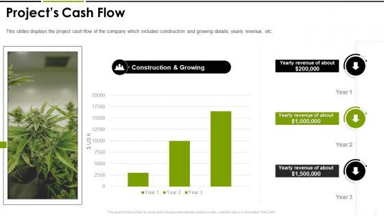 Projects cash flow cannabis investor funding elevator ppt show samples
