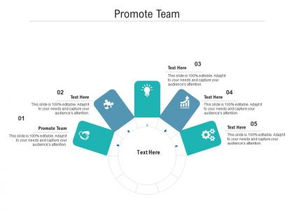 Promote team ppt powerpoint presentation show vector cpb