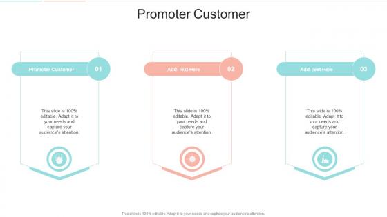 Promoter Customer In Powerpoint And Google Slides Cpb