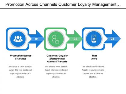 Promotion across channels customer loyalty management across channels