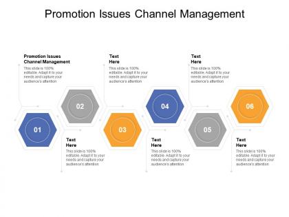 Promotion issues channel management ppt powerpoint presentation outline infographics cpb