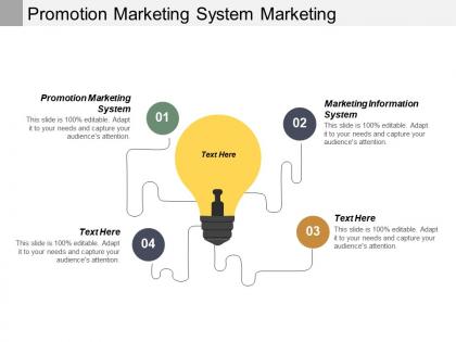 Promotion marketing system marketing information system ethnic marketing cpb