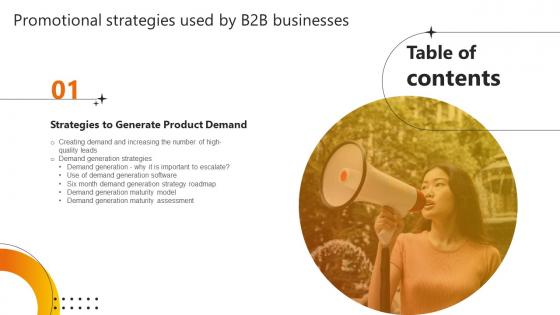 Promotional Strategies Used By B2b Businesses Table Of Contents