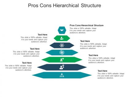 Pros cons hierarchical structure ppt powerpoint presentation gallery template