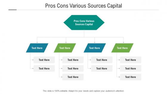 Pros cons various sources capital ppt powerpoint presentation icon professional cpb