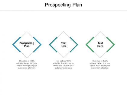 Prospecting plan ppt powerpoint presentation professional graphics download cpb