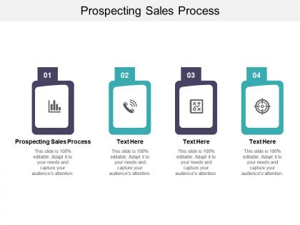 Prospecting sales process ppt powerpoint presentation infographic template templates cpb