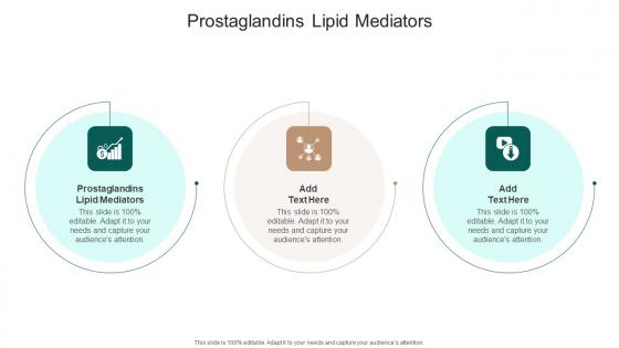 Prostaglandins Lipid Mediators In Powerpoint And Google Slides Cpb