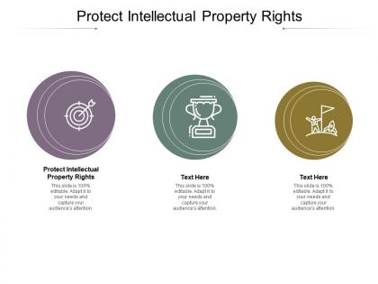 Protect intellectual property right ppt powerpoint presentation file format cpb