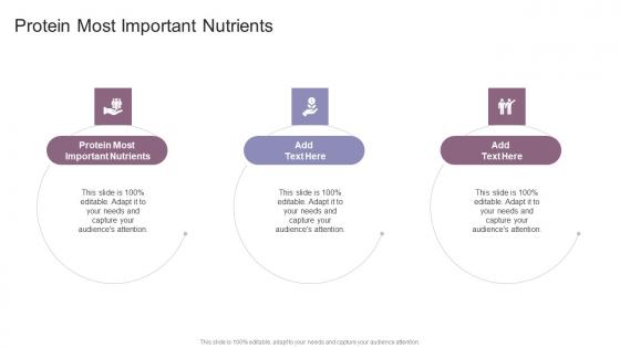 Protein Most Important Nutrients In Powerpoint And Google Slides Cpb