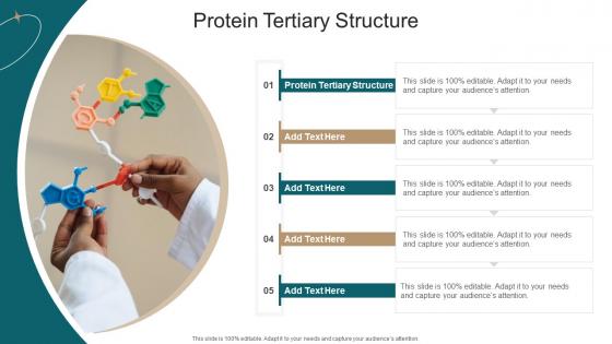 Protein Tertiary Structure In Powerpoint And Google Slides Cpb