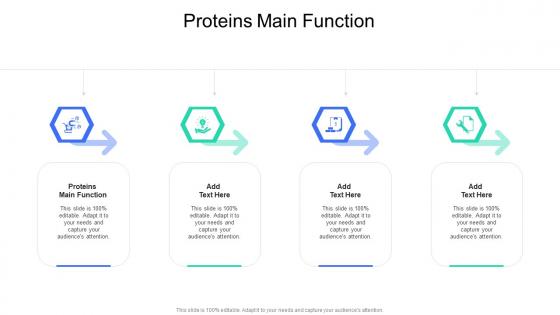 Proteins Main Function In Powerpoint And Google Slides Cpb
