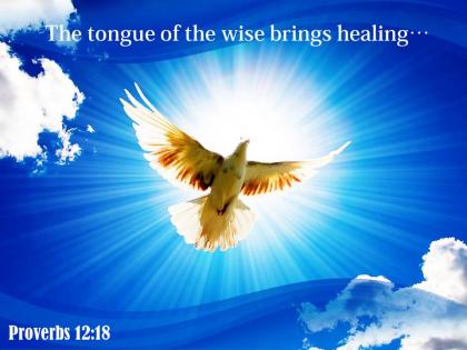 Proverbs 12 18 the tongue of the wise powerpoint church sermon