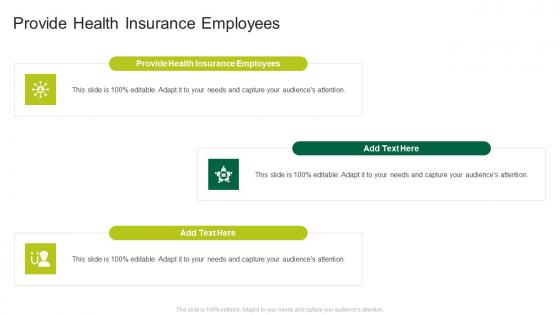 Provide Health Insurance Employees In Powerpoint And Google Slides Cpb