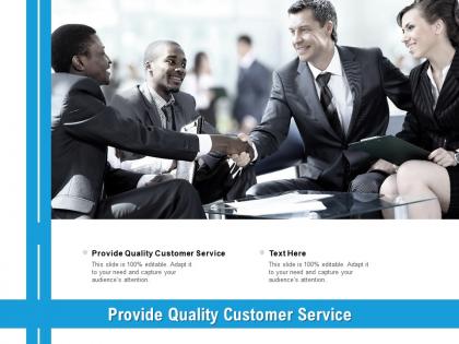 Provide quality customer service ppt powerpoint presentation graphics cpb