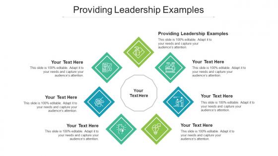 Providing Leadership Examples Ppt Powerpoint Presentation File Good Cpb