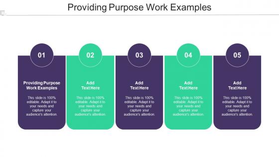 Providing Purpose Work Examples Ppt Powerpoint Presentation Outline Good Cpb
