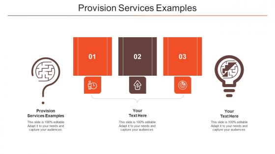 Provision Services Examples Ppt Powerpoint Presentation Clipart Cpb