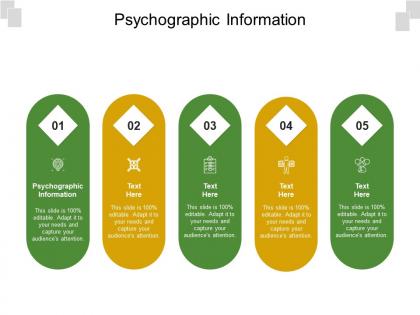 Psychographic information ppt powerpoint presentation styles elements cpb